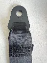 i6463200547[1].webp