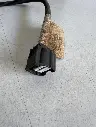 i6481548356.webp
