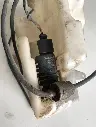 i3561878431[1].webp