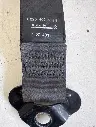 i6486355651[1].webp