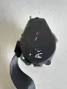 i6416465037.webp