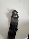 Cinturon de seguridad delantero derecho Renault trafic / Opel vivaro / Nissan primastar II 2001-2014 Referencia Renault : 8200696522 / 696522