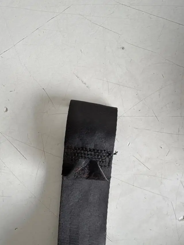 i5524862971[1].webp
