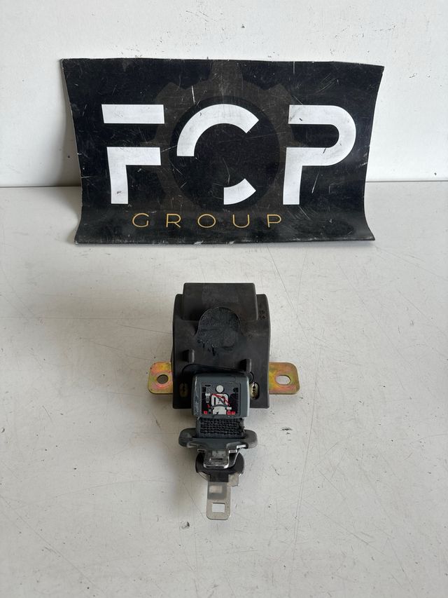 Cinturon trasero central Renault Scenic 1